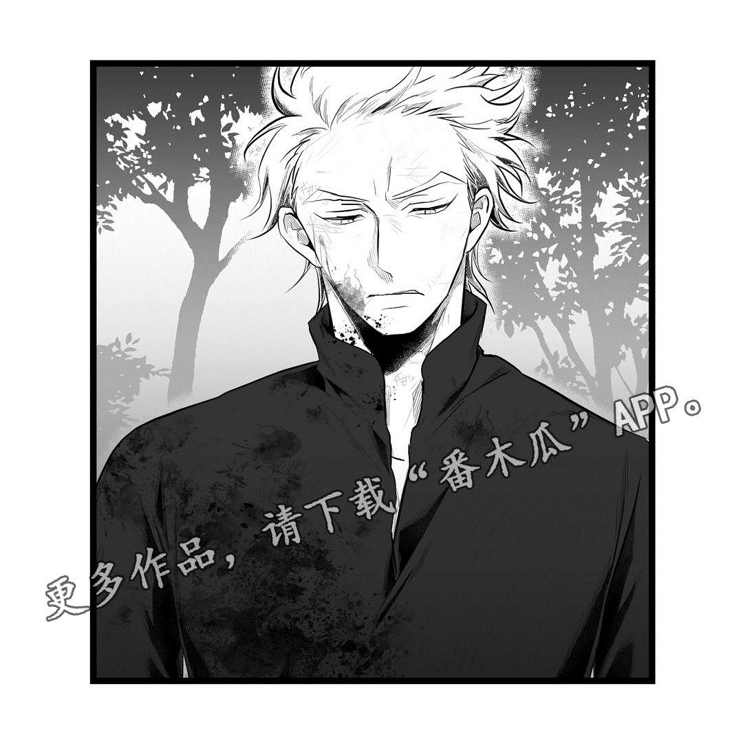 《巫师与王子》第86章病危 第18页