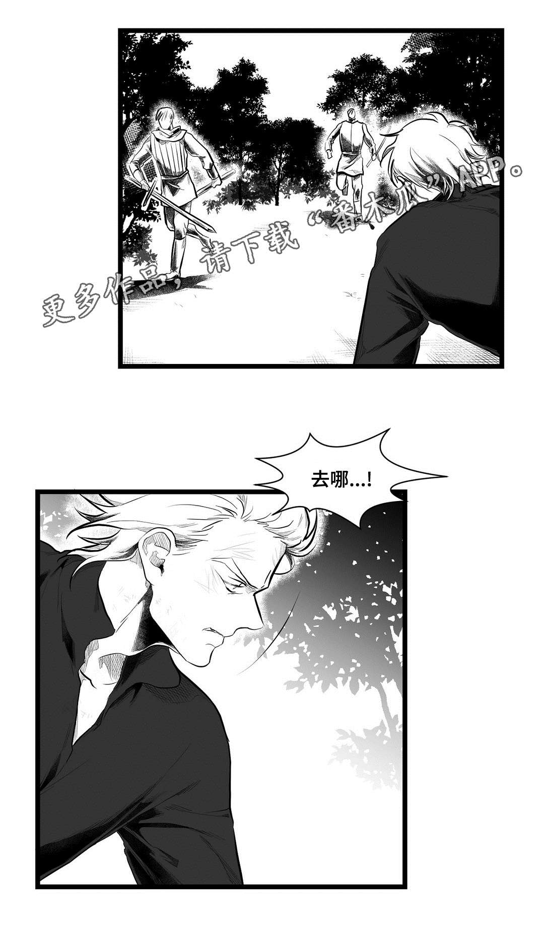 《巫师与王子》第86章病危 第2页