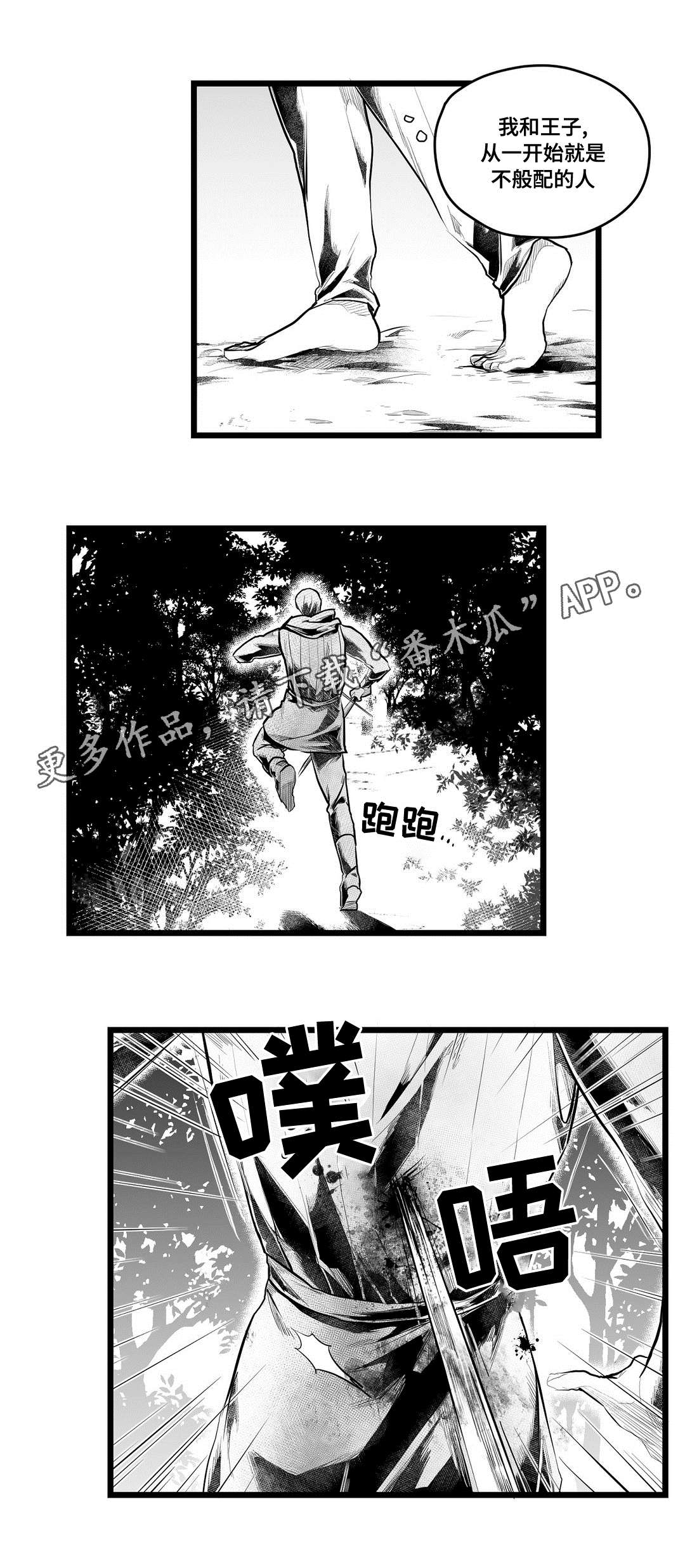 《巫师与王子》第86章病危 第5页