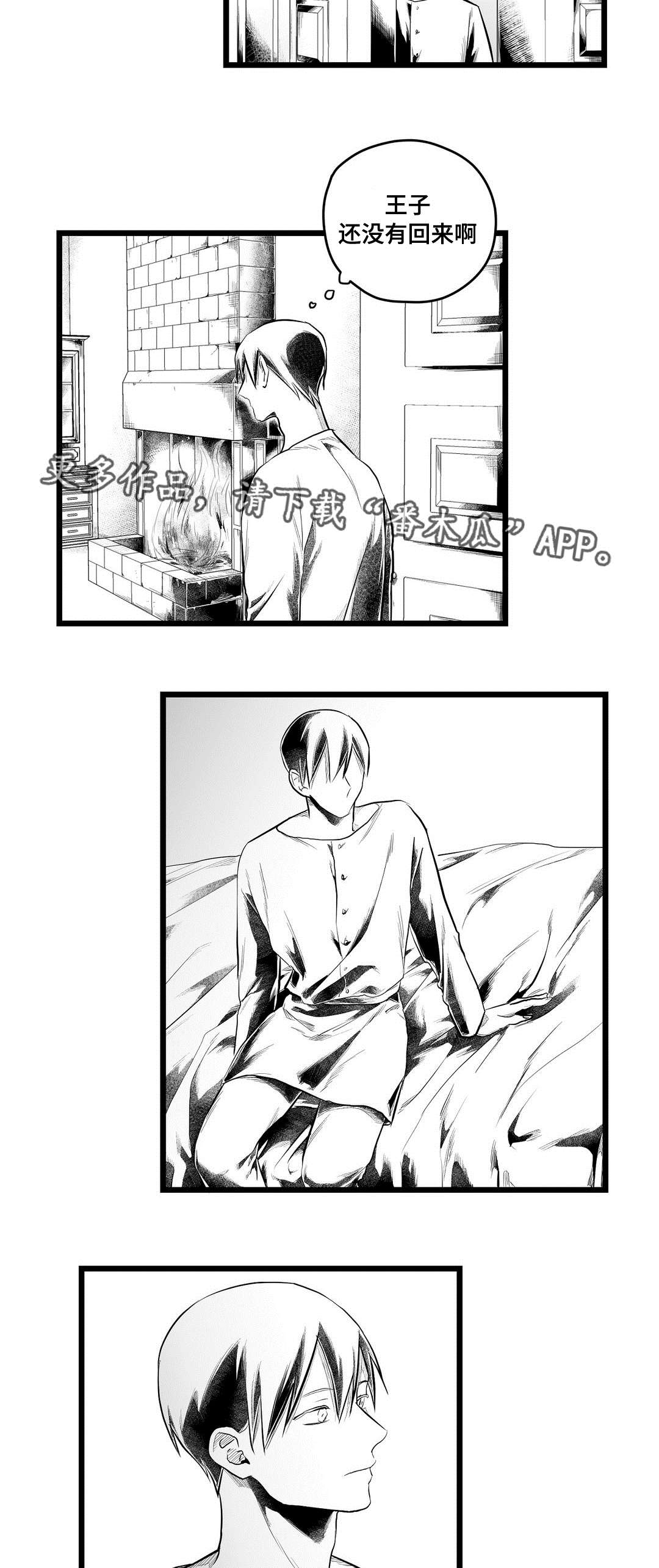 《巫师与王子》第88章带他走 第12页
