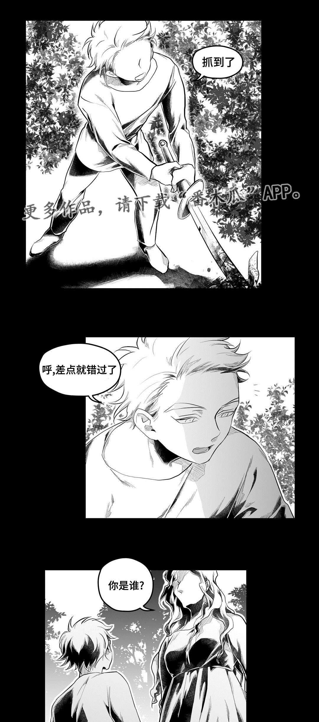 《巫师与王子》第88章带他走 第21页