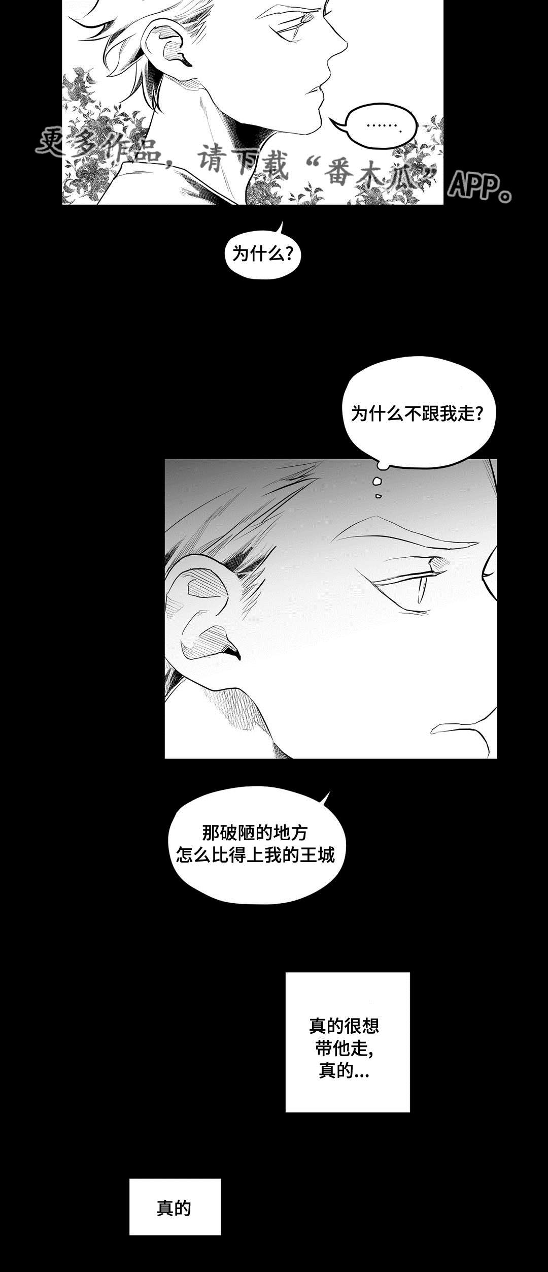 《巫师与王子》第88章带他走 第25页