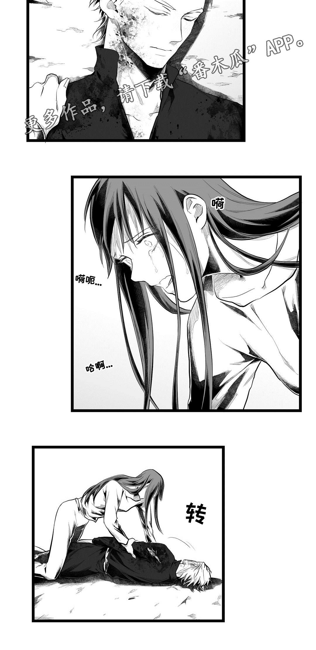 《巫师与王子》第89章坠崖 第10页
