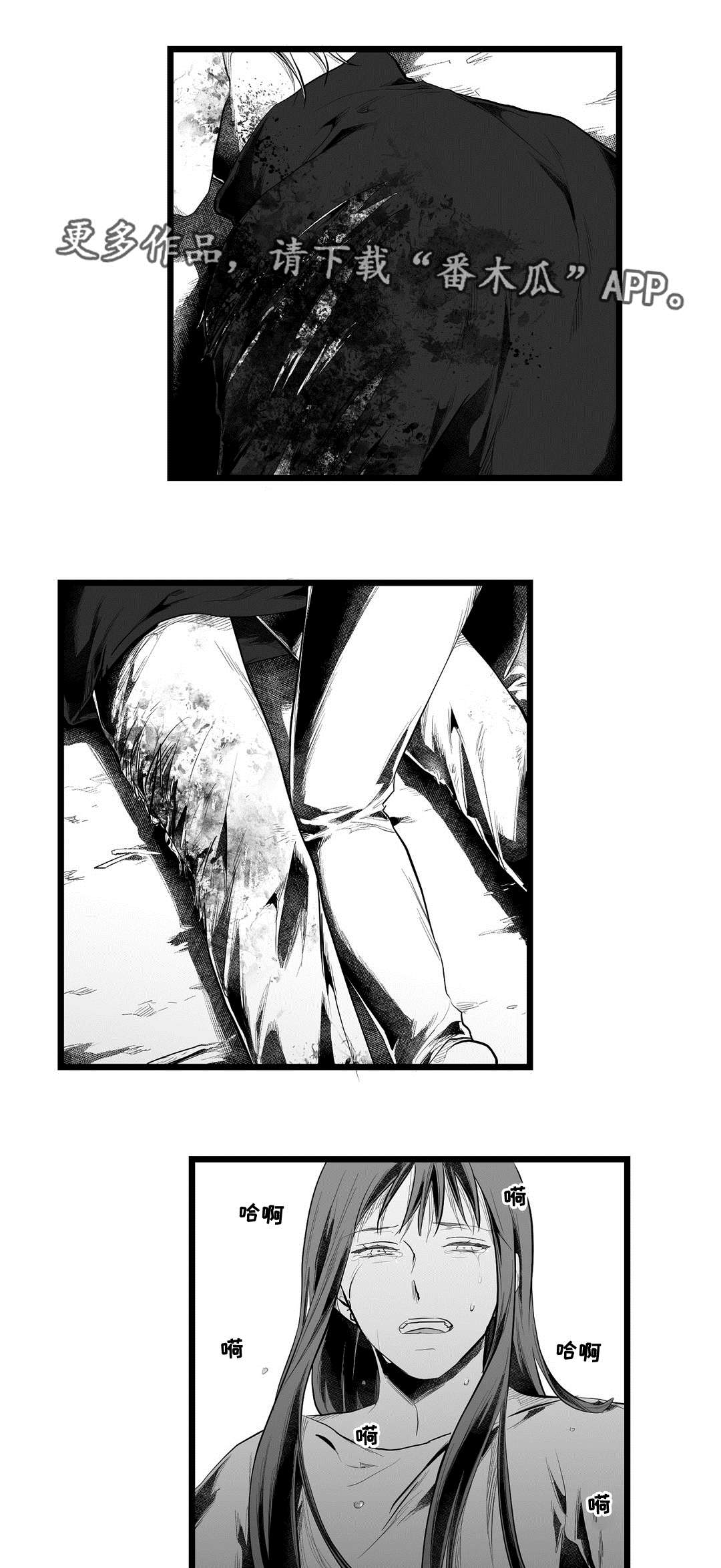《巫师与王子》第89章坠崖 第11页