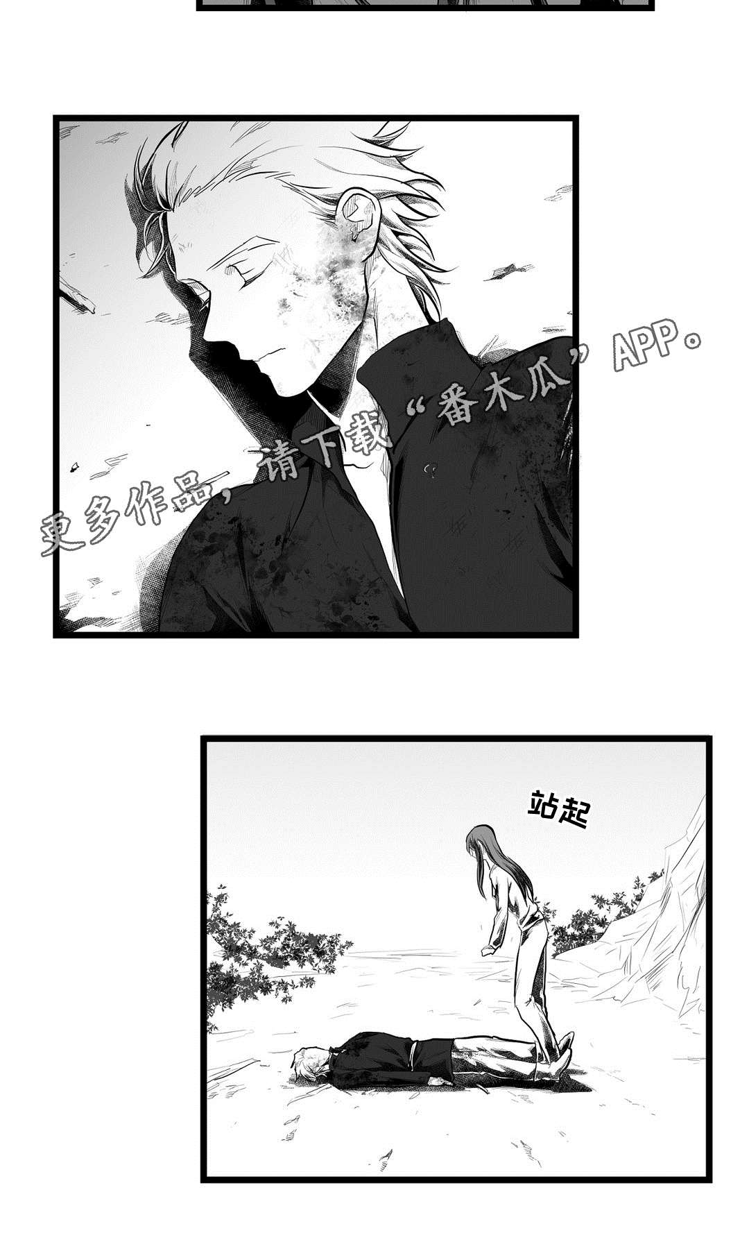《巫师与王子》第89章坠崖 第12页