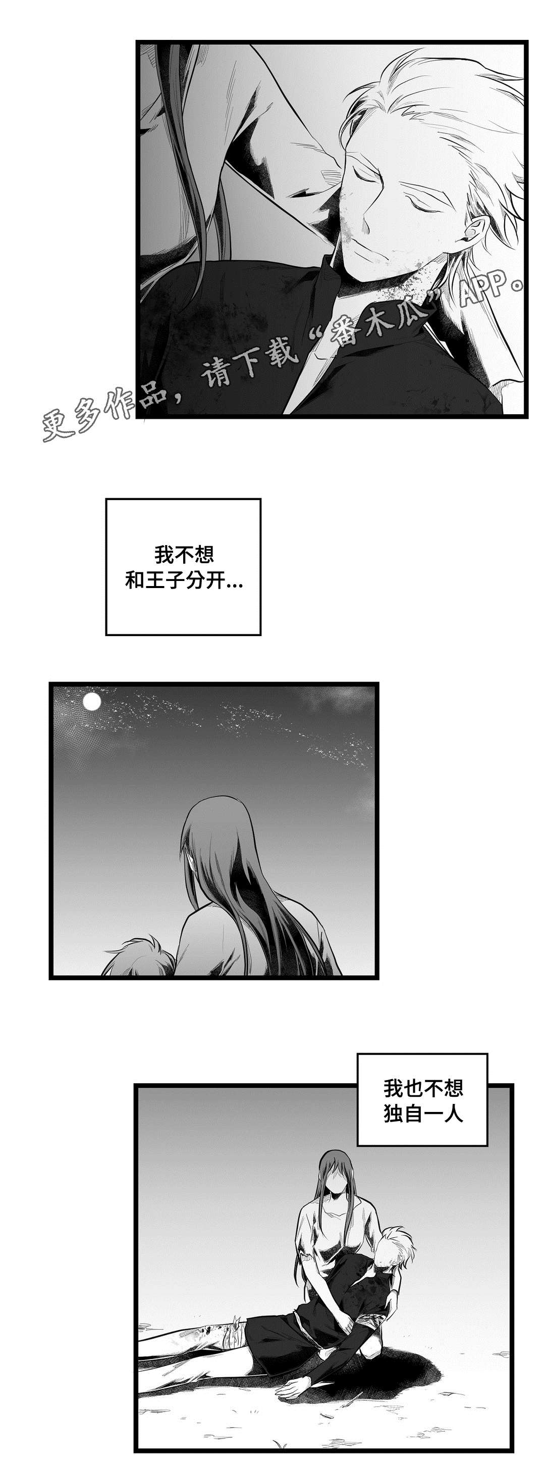 《巫师与王子》第89章坠崖 第16页