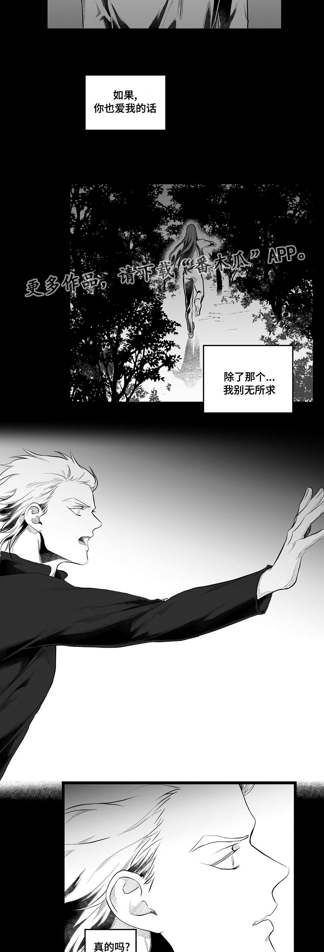 《巫师与王子》第89章坠崖 第2页