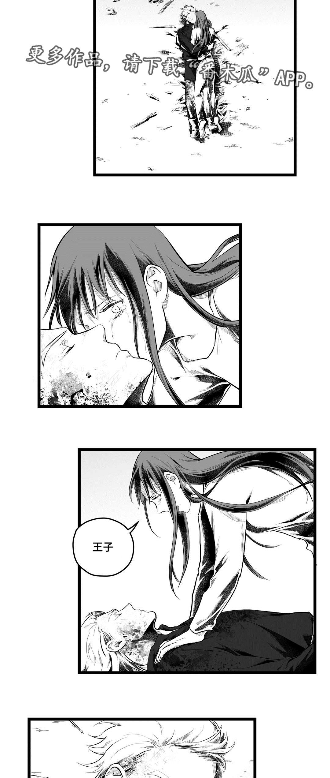 《巫师与王子》第89章坠崖 第9页