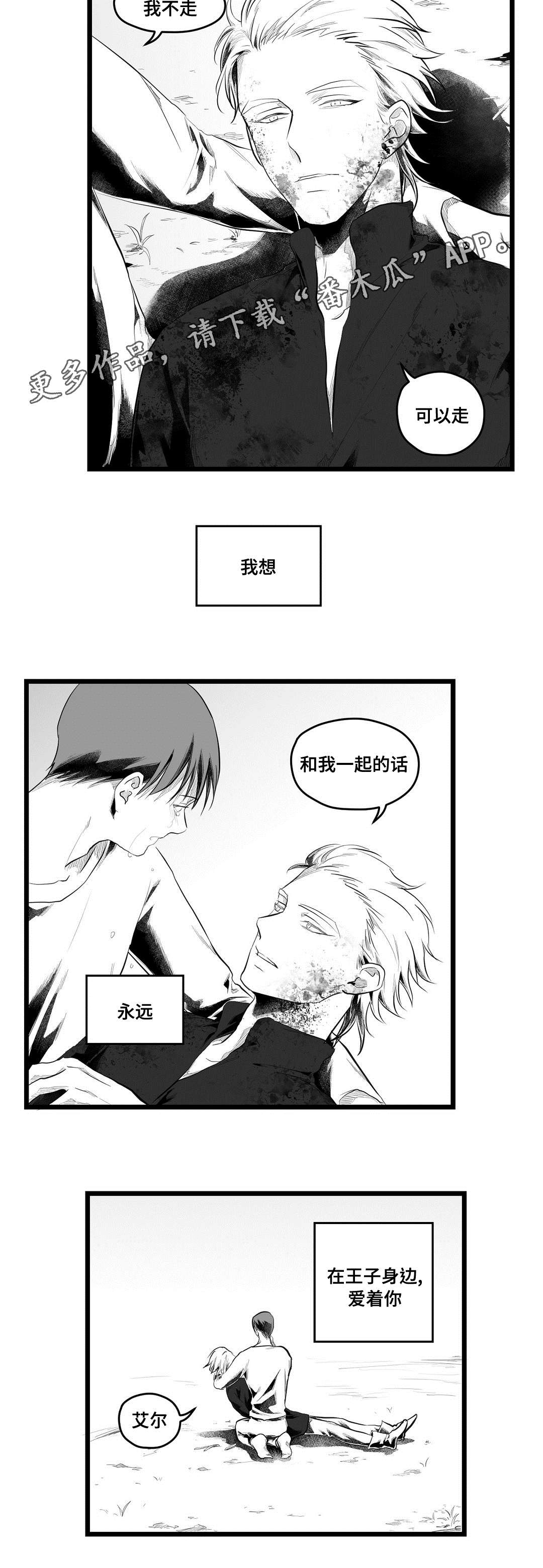 《巫师与王子》第90章得失 第10页