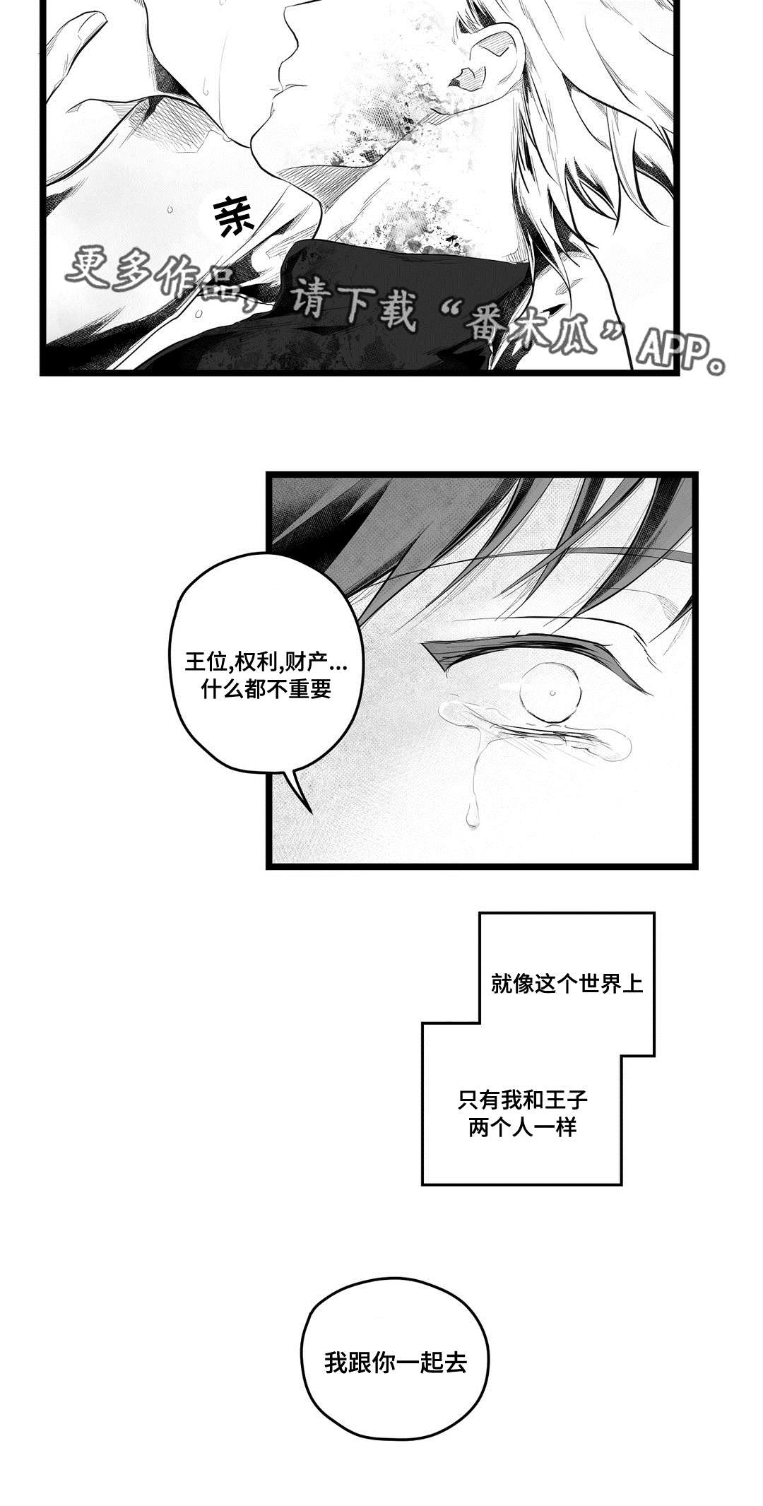 《巫师与王子》第90章得失 第12页