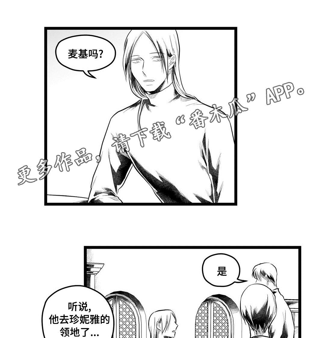 《巫师与王子》第90章得失 第13页