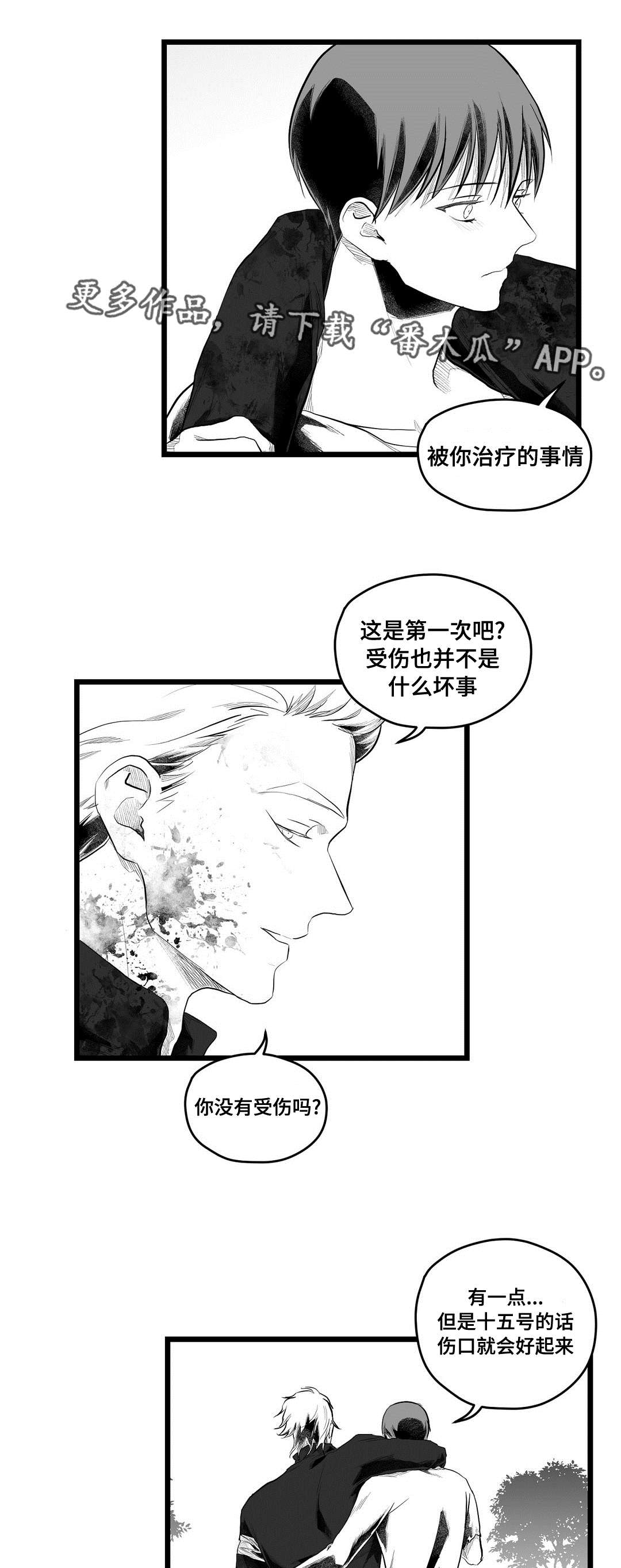 《巫师与王子》第91章未来 第10页
