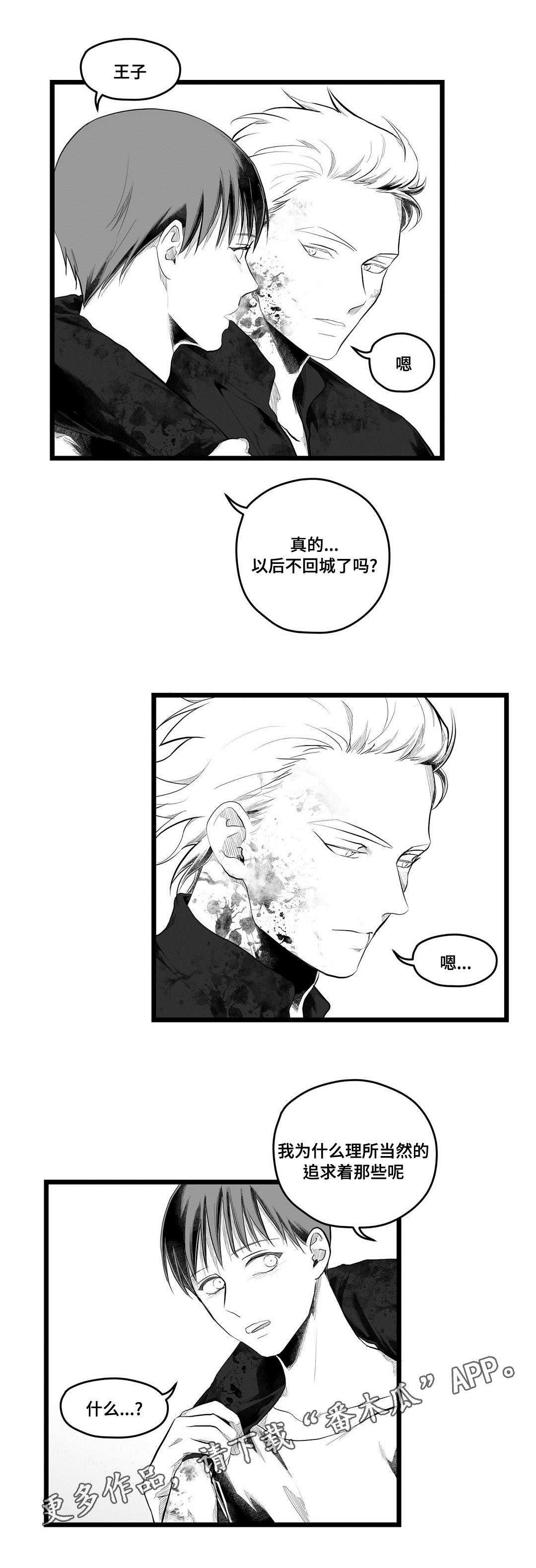 《巫师与王子》第91章未来 第12页