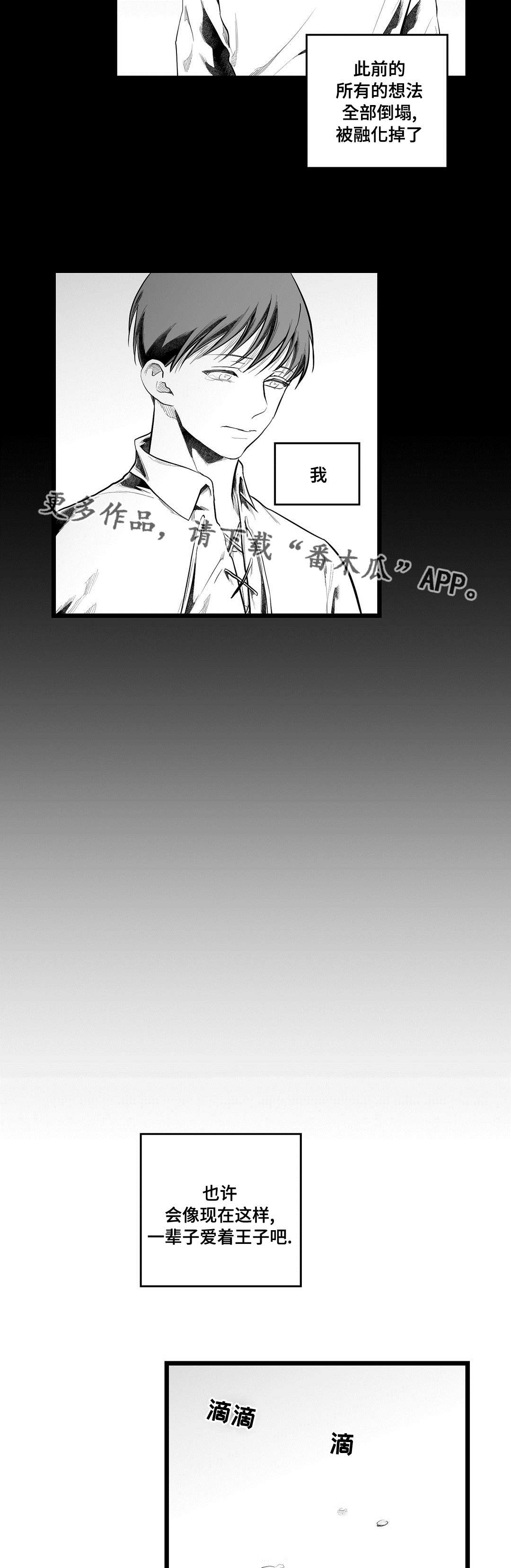 《巫师与王子》第91章未来 第18页