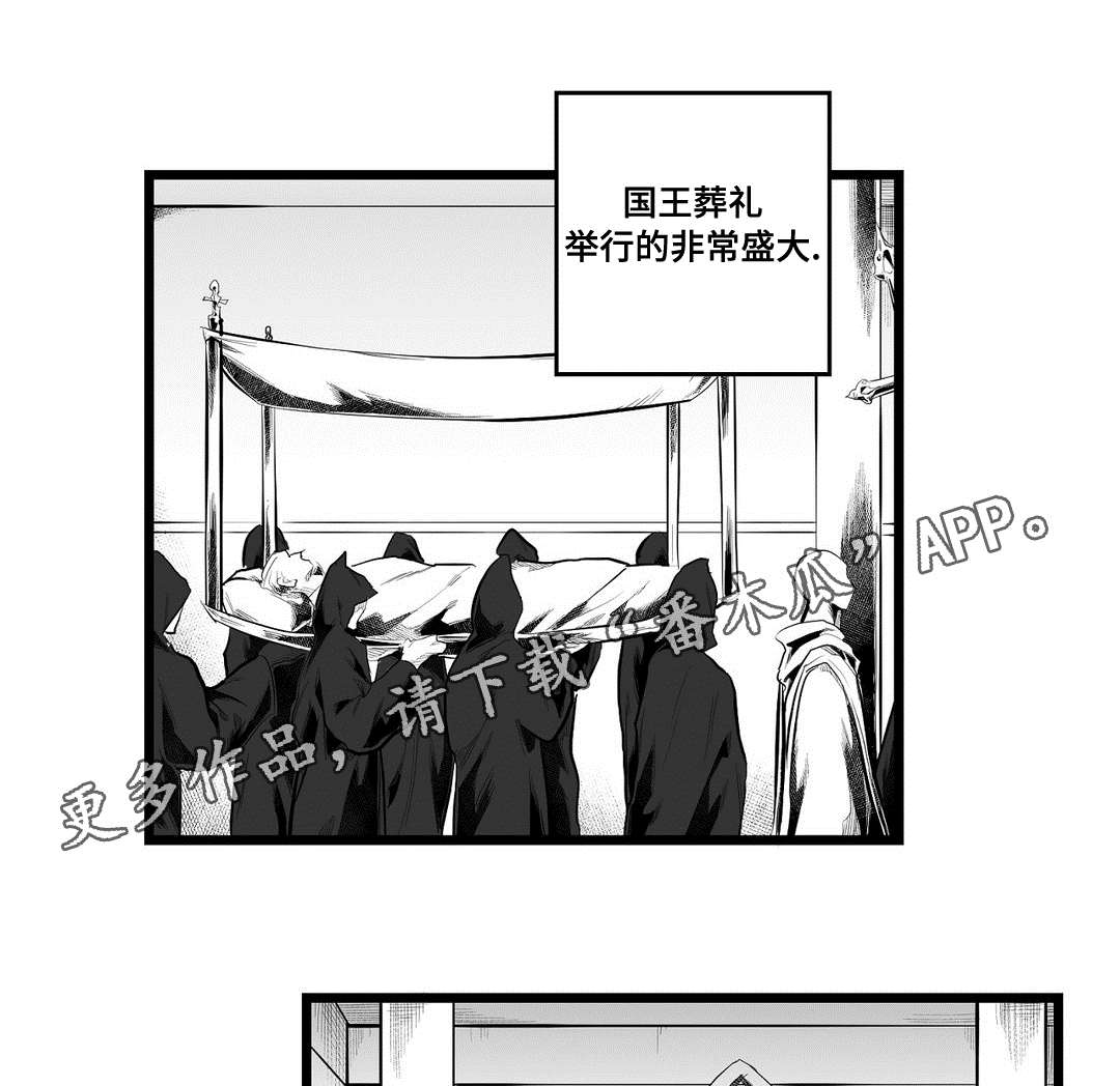 《巫师与王子》第91章未来 第1页