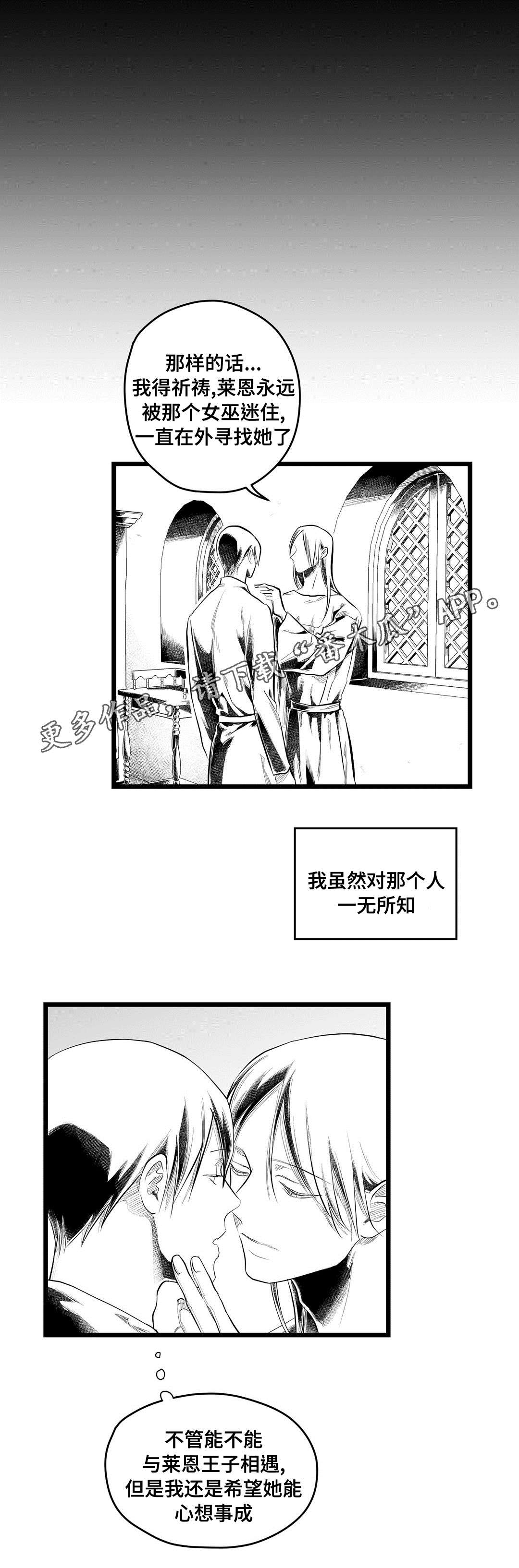 《巫师与王子》第91章未来 第7页
