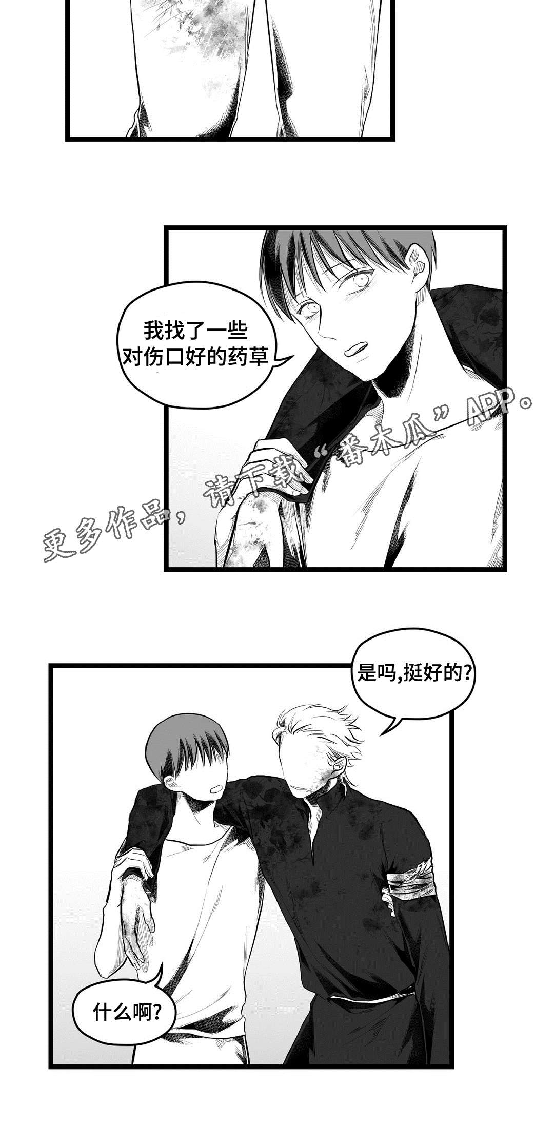 《巫师与王子》第91章未来 第9页
