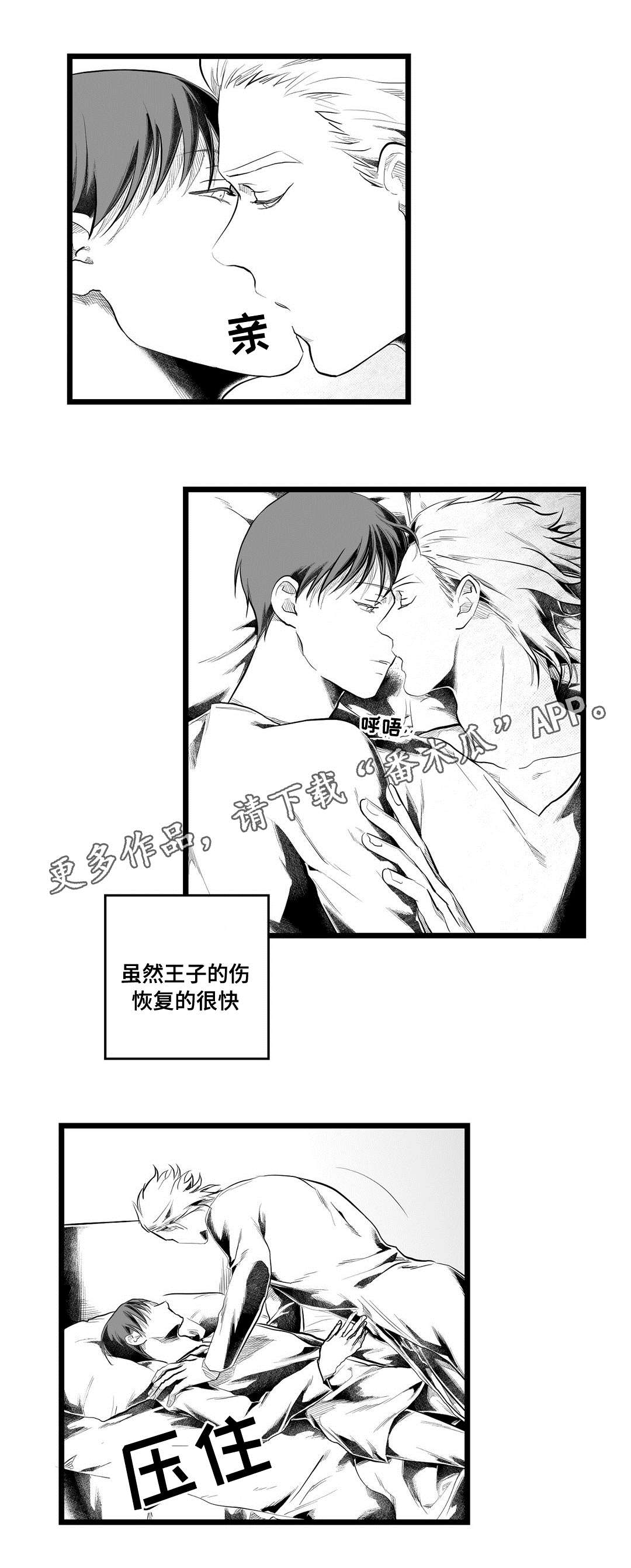 《巫师与王子》第92章只要你 第3页