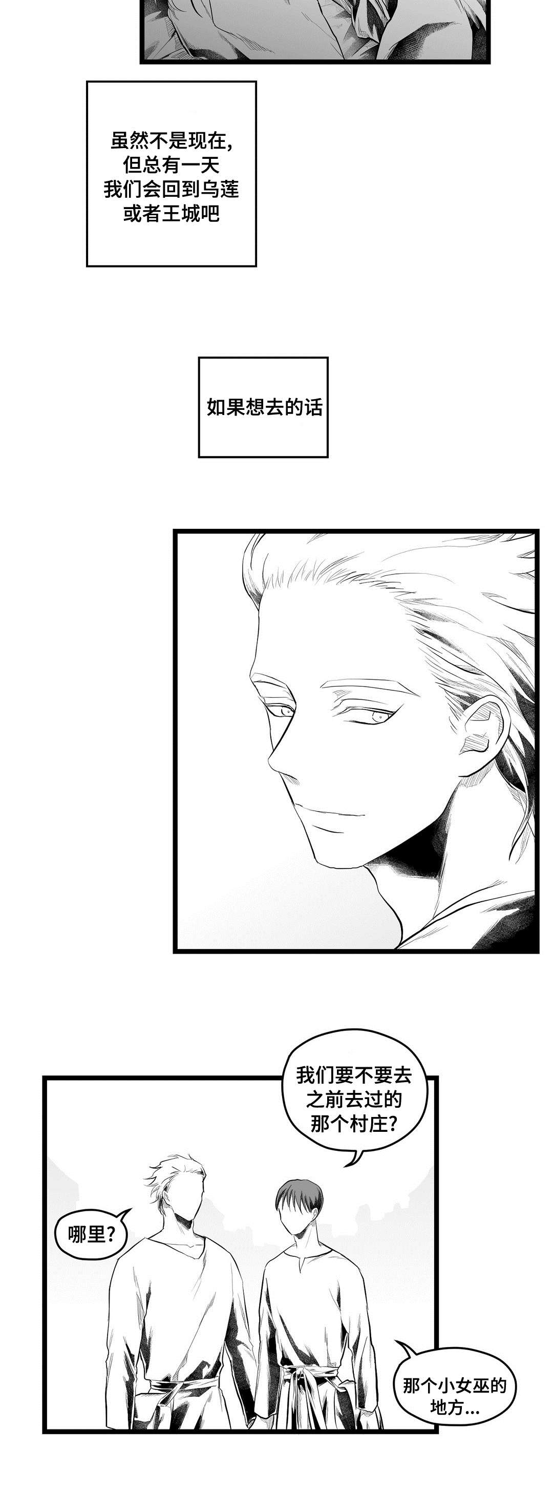 《巫师与王子》第93章终章 第25页