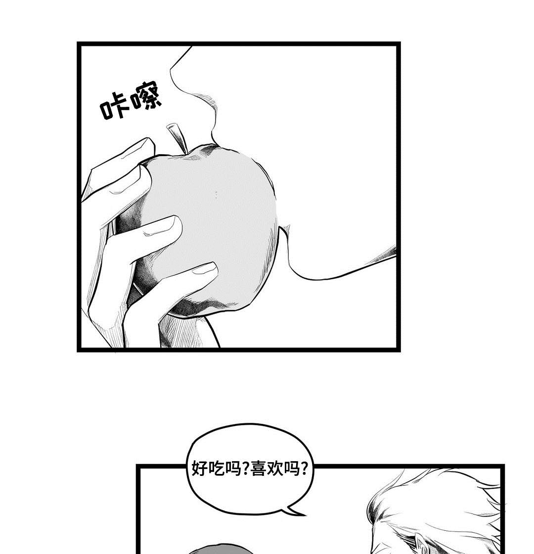 《巫师与王子》第93章终章 第7页
