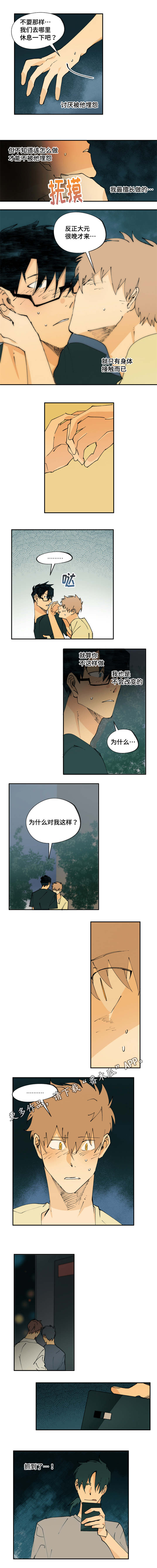 《贤的法则》第27章为什么亲他 第5页