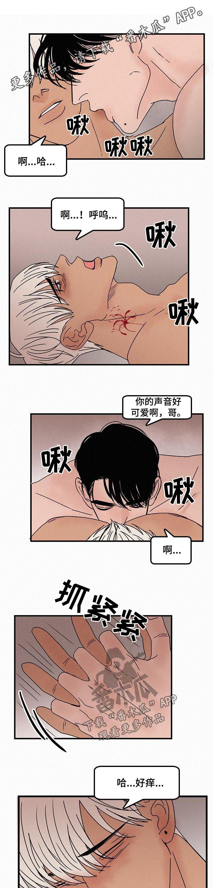 《迷画人》第57章爱情是什么 第1页