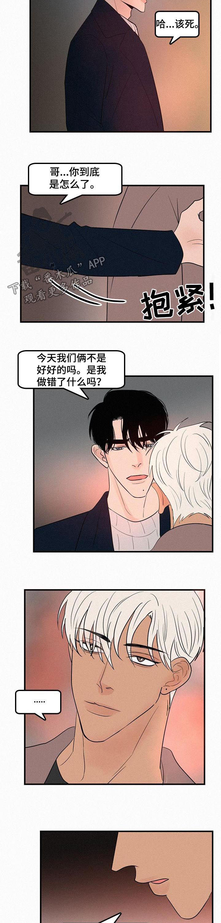 《迷画人》第65章没爱过 第4页