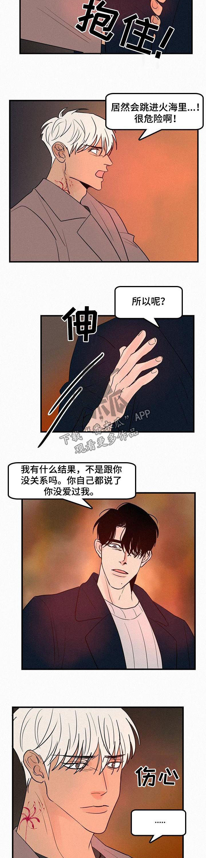 《迷画人》第65章没爱过 第8页