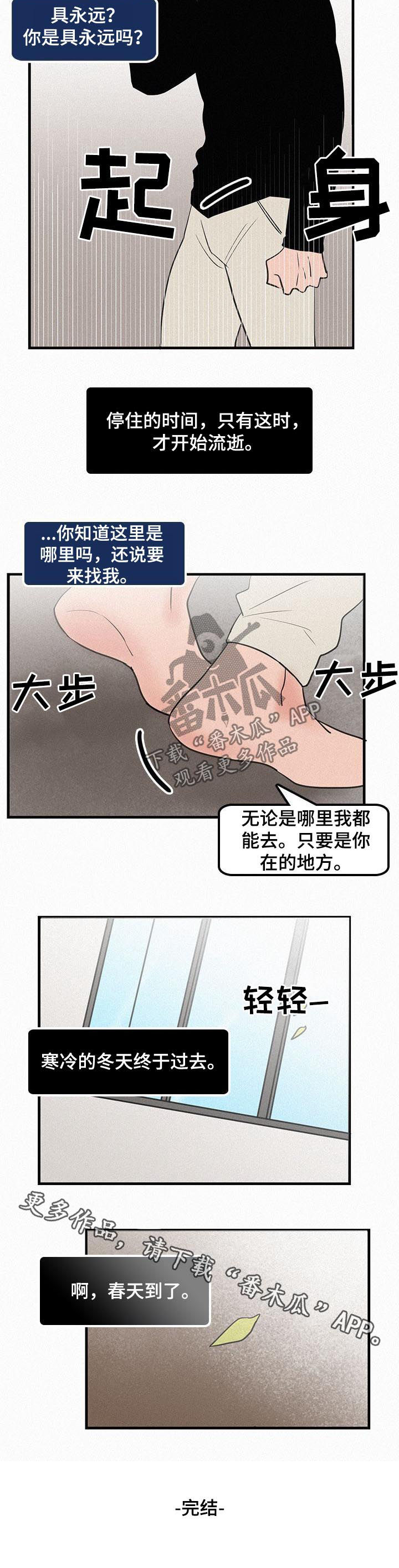 《迷画人》第67章冬去春来（完结） 第8页