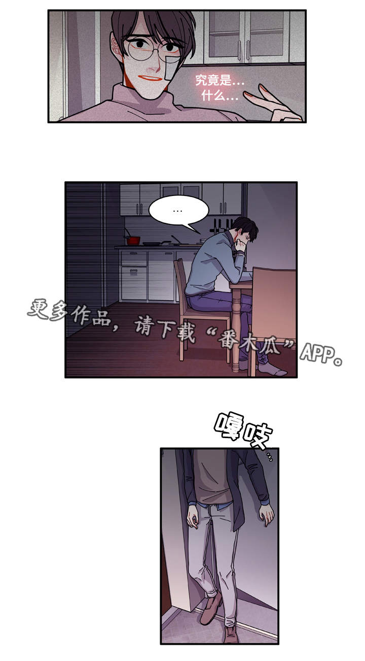 《连锁效应》第20章装什么 第13页