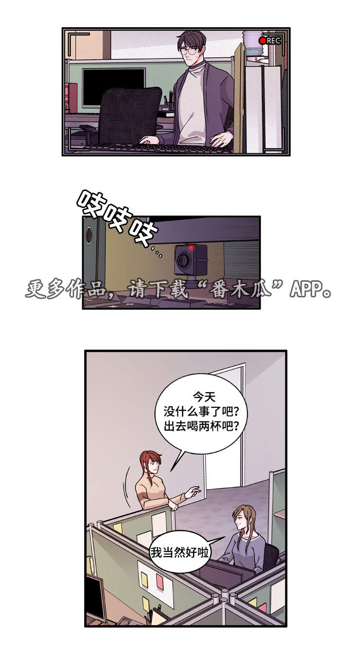 《连锁效应》第21章盯着你 第10页