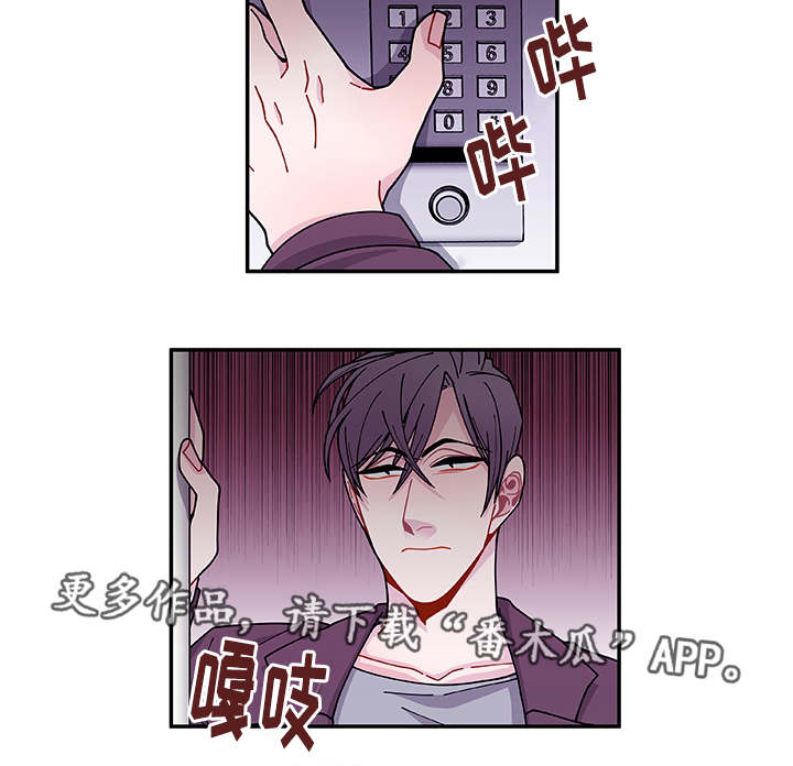 《连锁效应》第36章去哪了 第20页