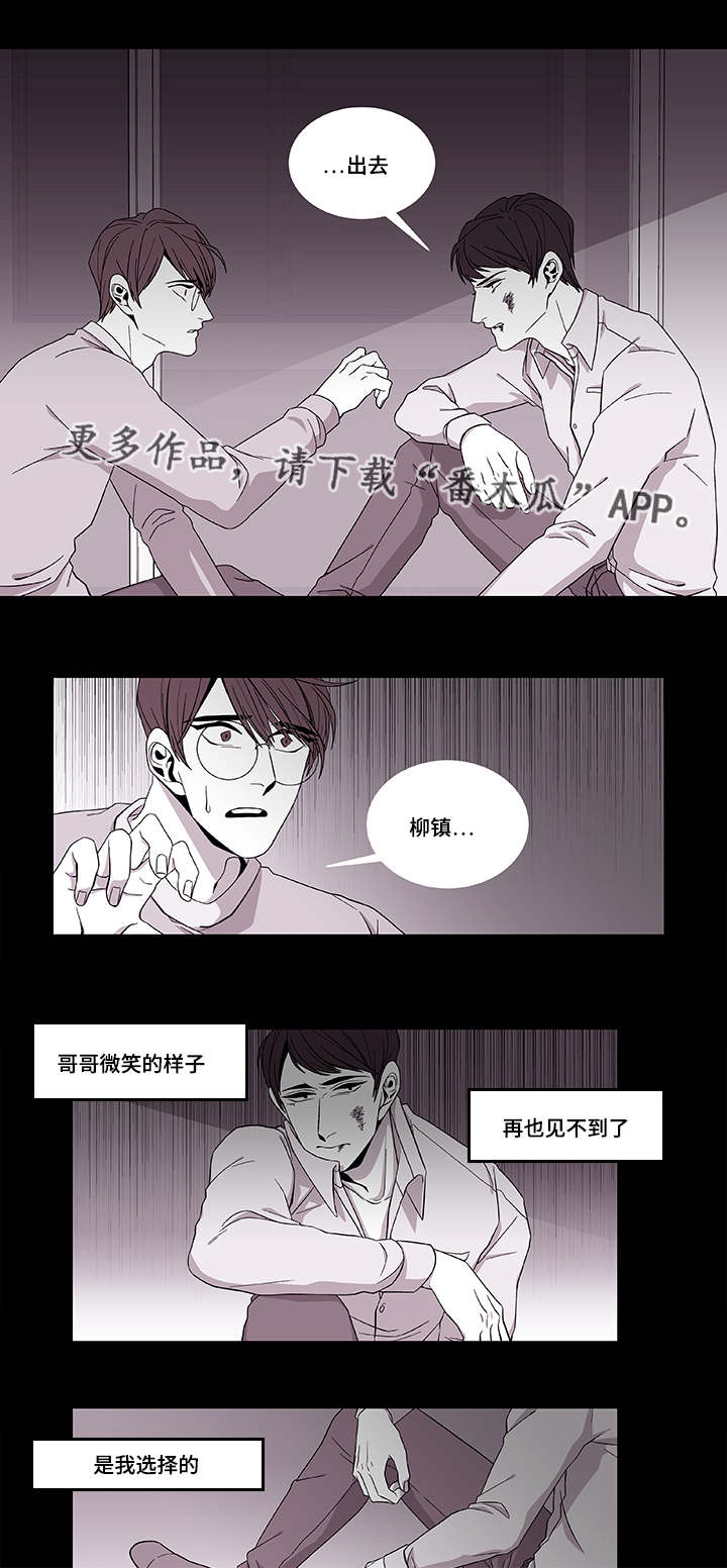 《连锁效应》第39章保护哥哥 第16页