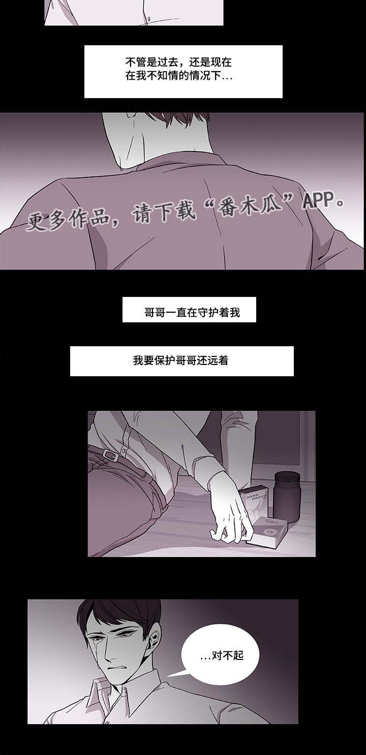《连锁效应》第39章保护哥哥 第19页