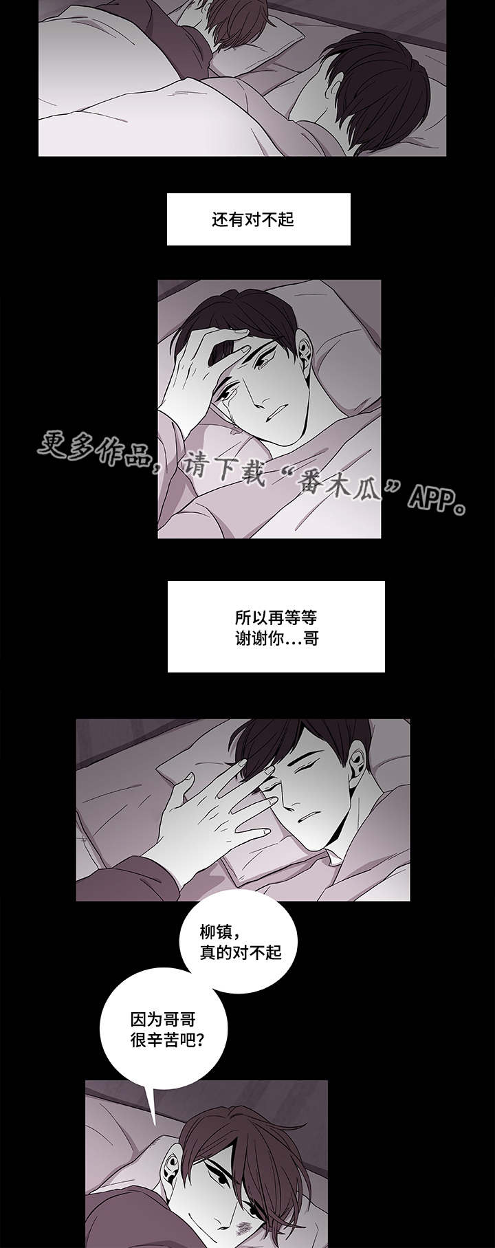 《连锁效应》第39章保护哥哥 第21页