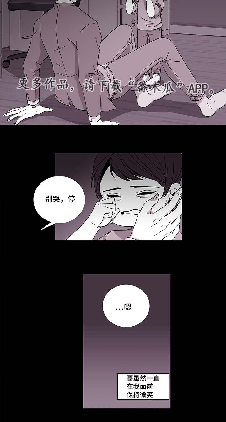 《连锁效应》第39章保护哥哥 第9页