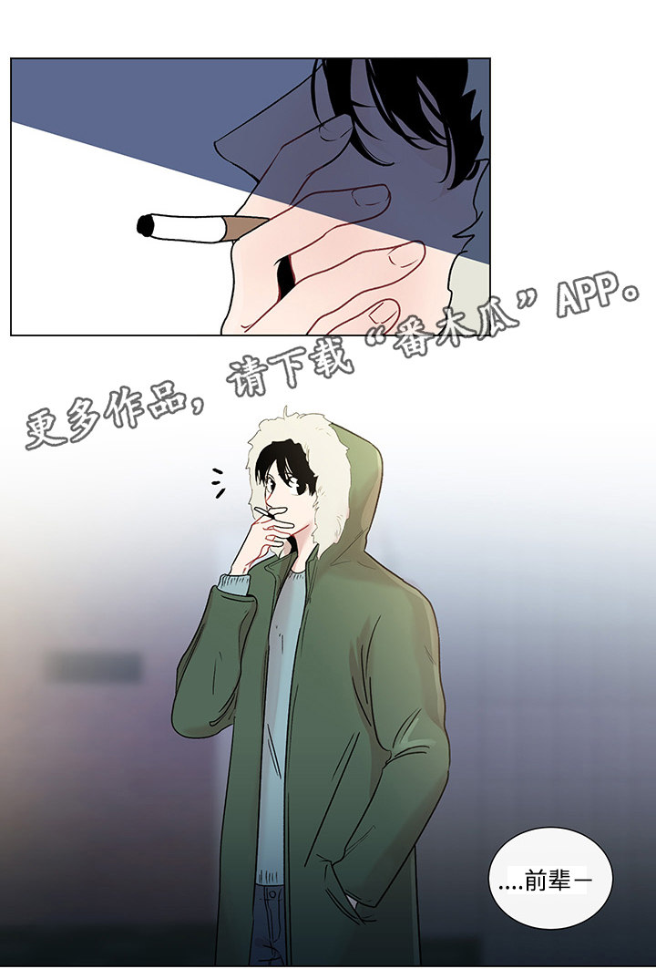 《商谈》第43章最后的记忆 第2页