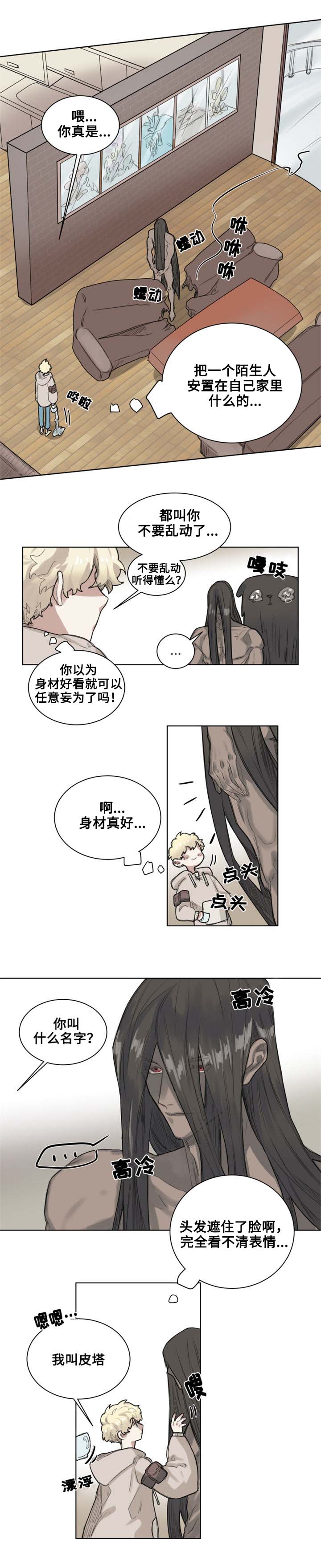 《魔法师皮塔》第2章带回家 第2页