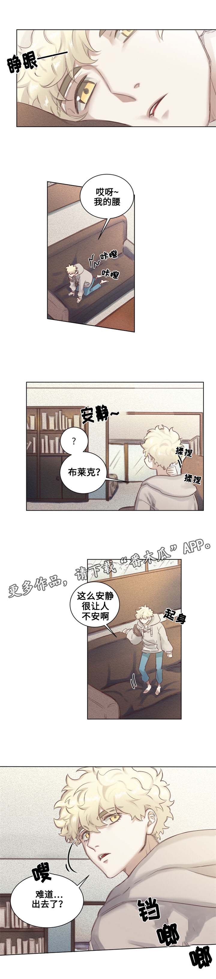 《魔法师皮塔》第5章青蛙夫妇 第6页