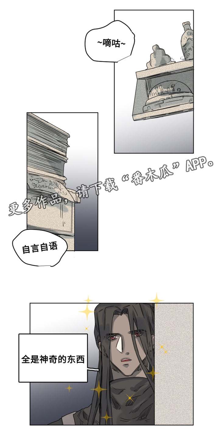 《魔法师皮塔》第8章地下室 第9页