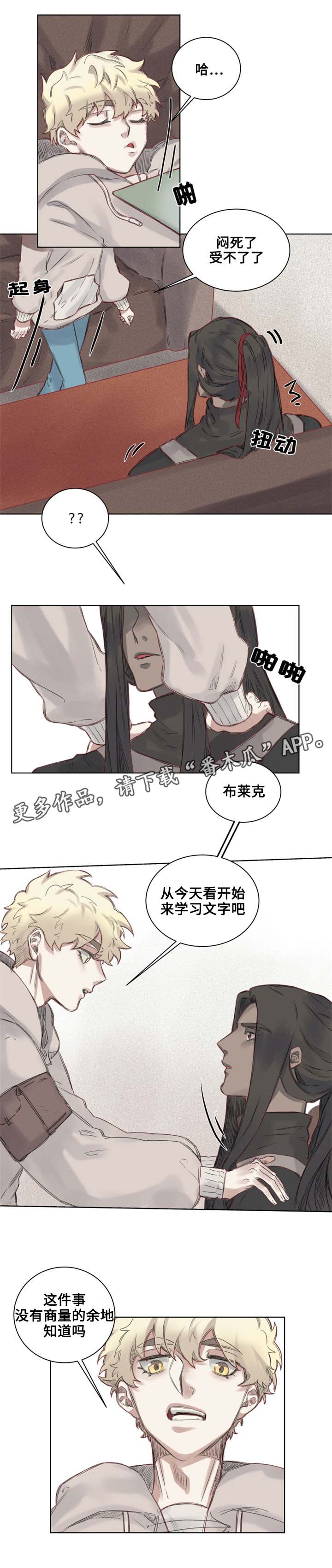 《魔法师皮塔》第7章沙卡沙卡！ 第8页