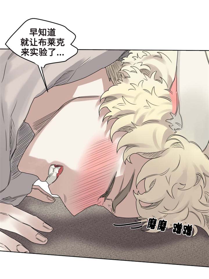 《魔法师皮塔》第9章猫咪套装 第10页
