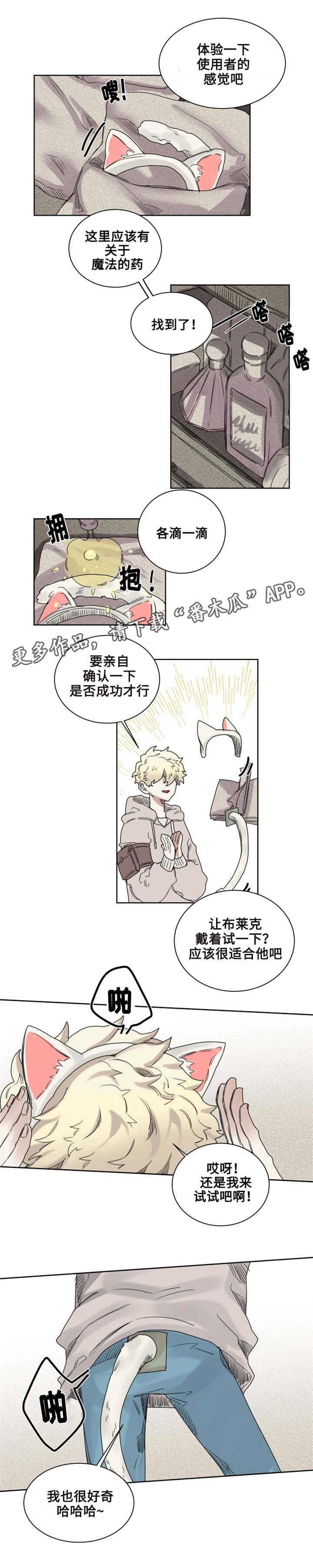 《魔法师皮塔》第9章猫咪套装 第6页