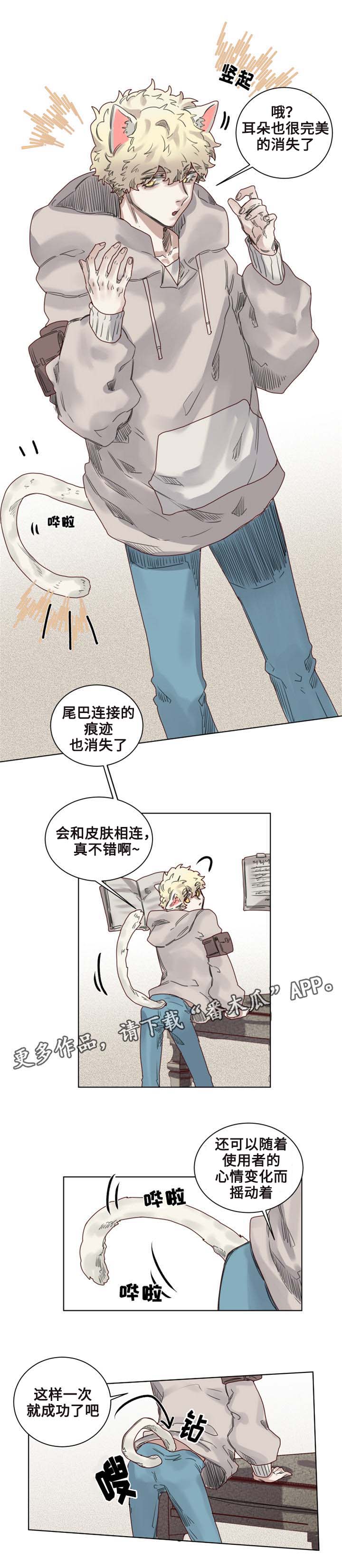 《魔法师皮塔》第9章猫咪套装 第7页