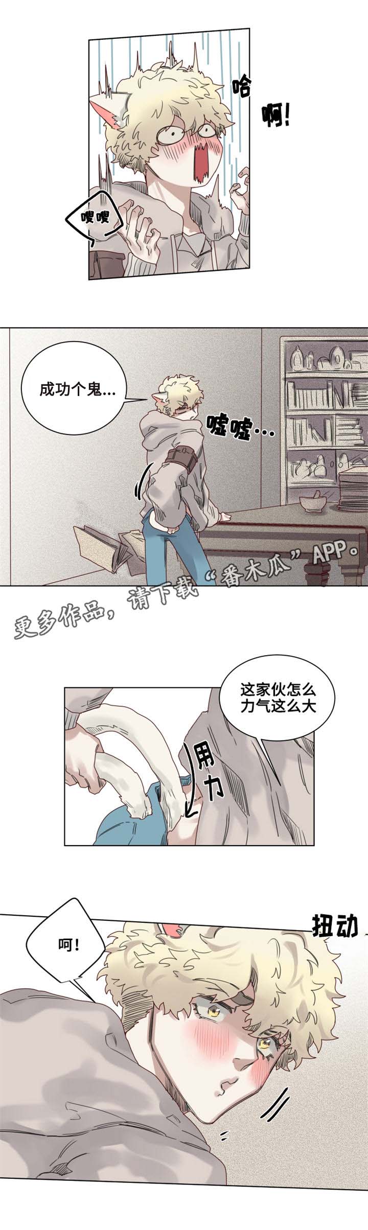 《魔法师皮塔》第9章猫咪套装 第8页