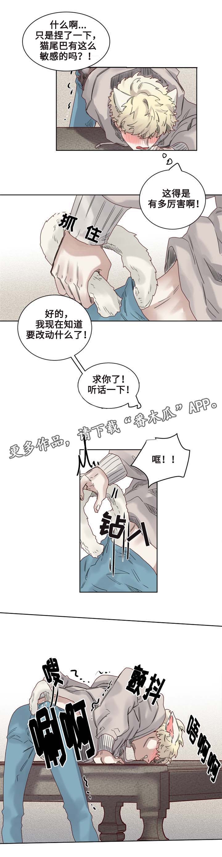 《魔法师皮塔》第9章猫咪套装 第9页