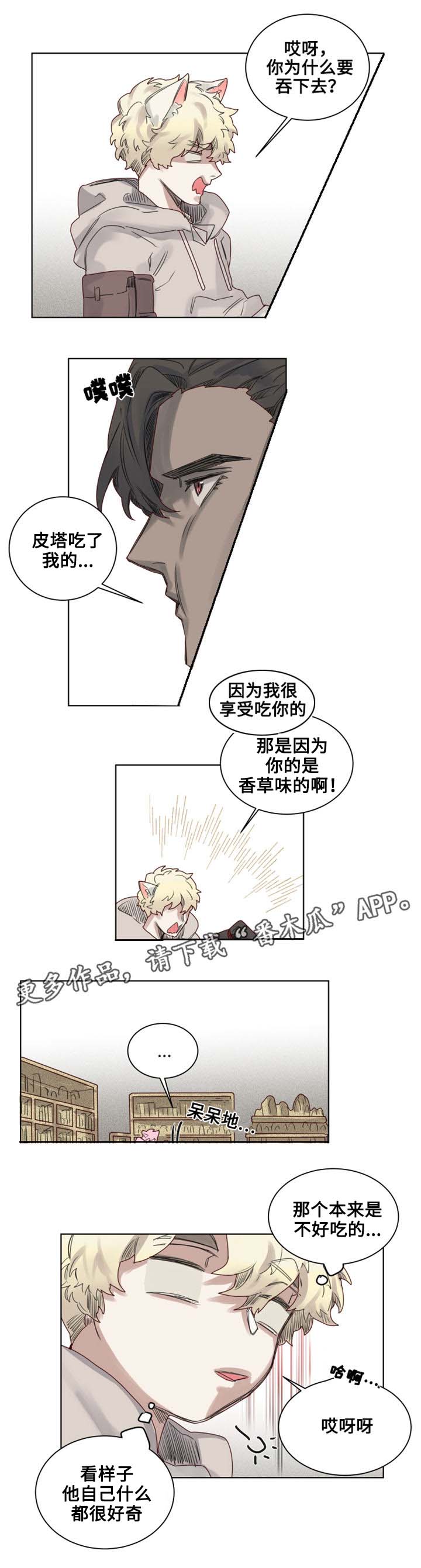 《魔法师皮塔》第11章过分的委托 第2页