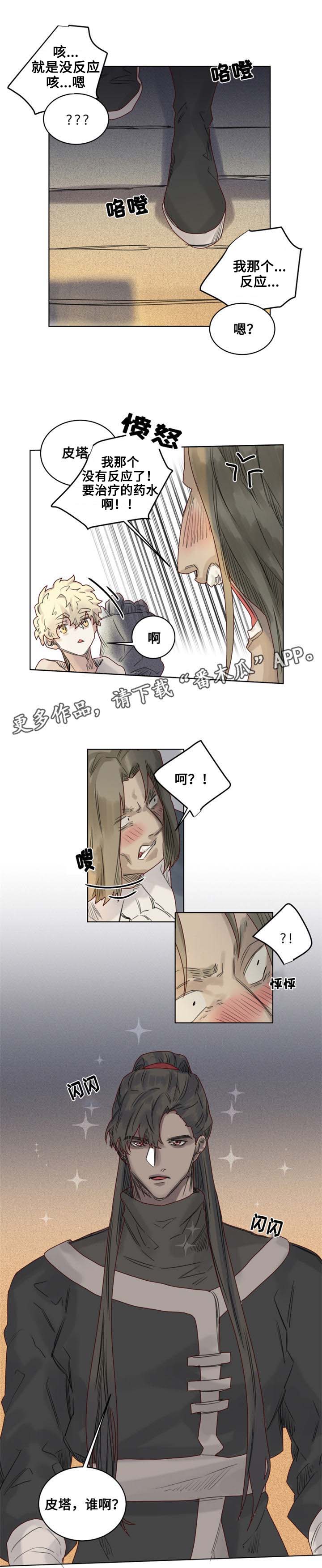 《魔法师皮塔》第12章奇怪的客人 第5页
