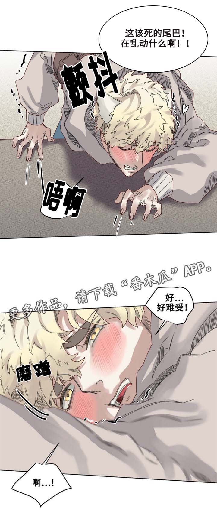 《魔法师皮塔》第10章套装后遗症 第2页