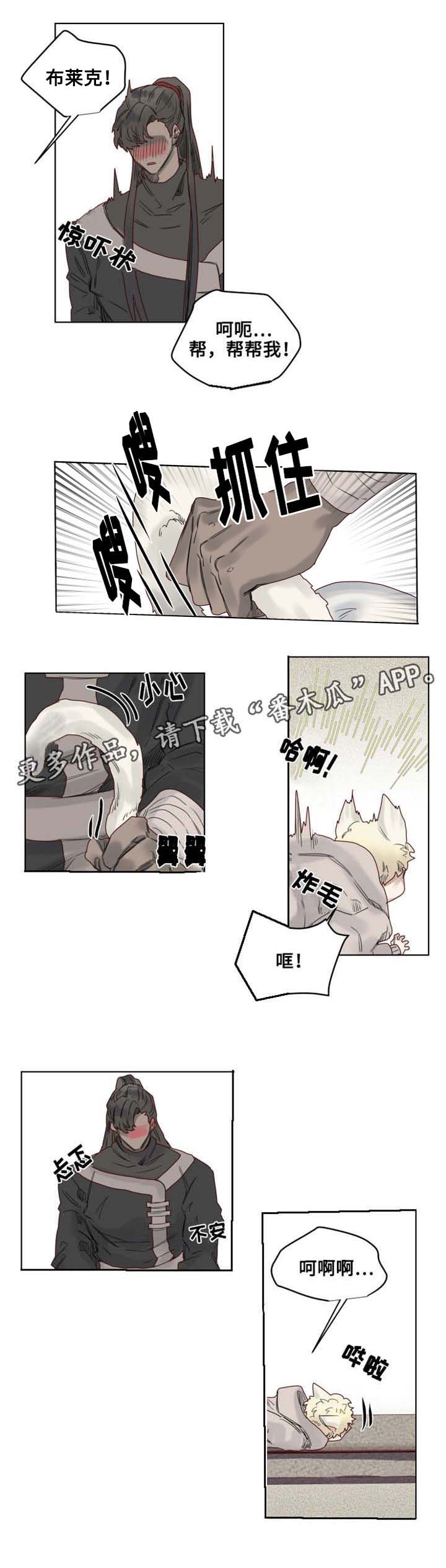 《魔法师皮塔》第10章套装后遗症 第3页